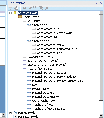 View of Field Explorer in Crystal Reports