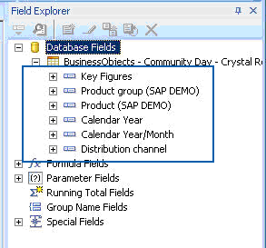 Displaying the BI query characteristics in the Crystal Reports Field Explorer