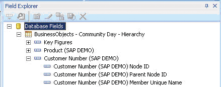A view of the Crystal Reports Field Explorer menu