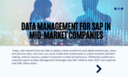 Data Management report image