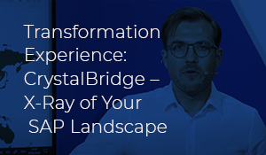 Transformation Experience: CrystalBridge - X-Ray of Your SAP Landscape image