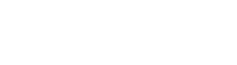 Saviynt Logo