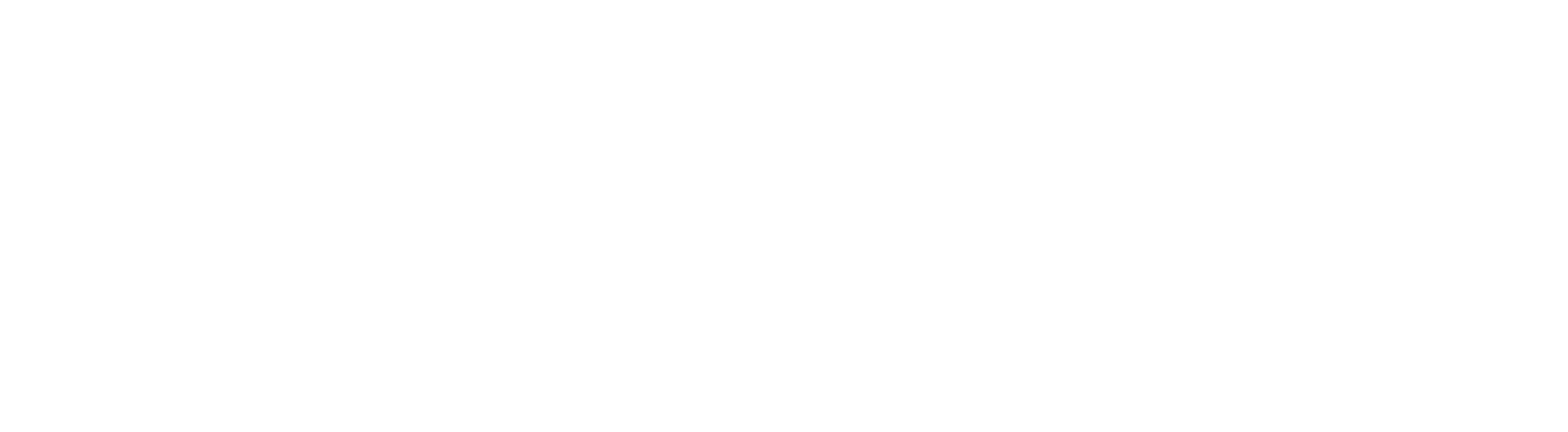 Saviynt Logo