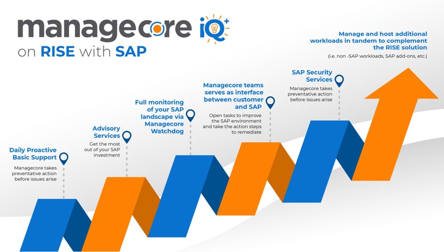 ManagecoreiQ+ companion solution for RISE with SAP chart image