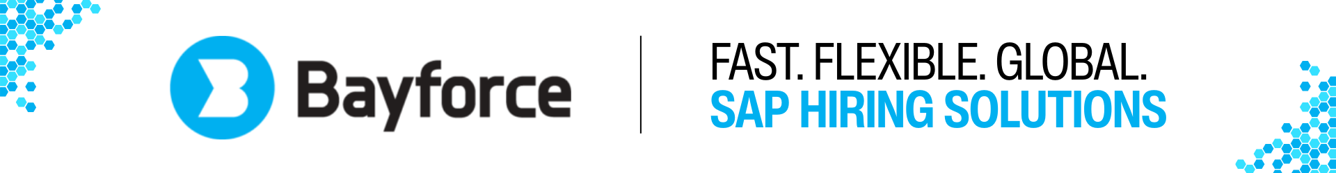 Bayforce Logo