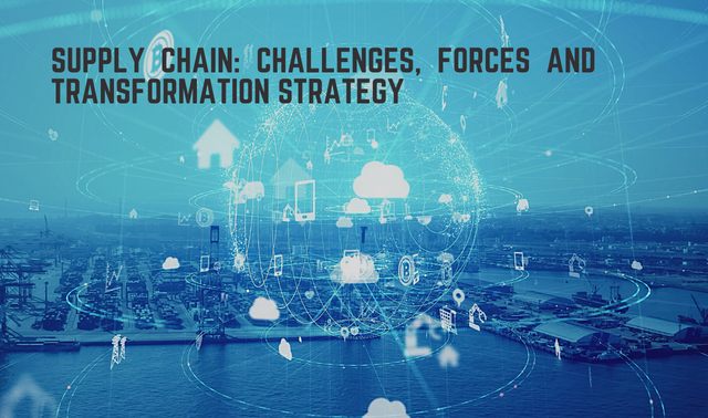 Supply Chain Challenges, Forces and Transformation Strategy