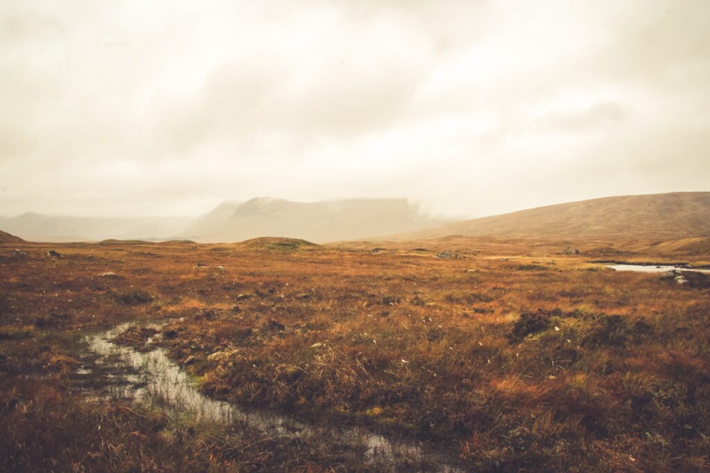A landscape view of a foggy brown field | Basis Technologies