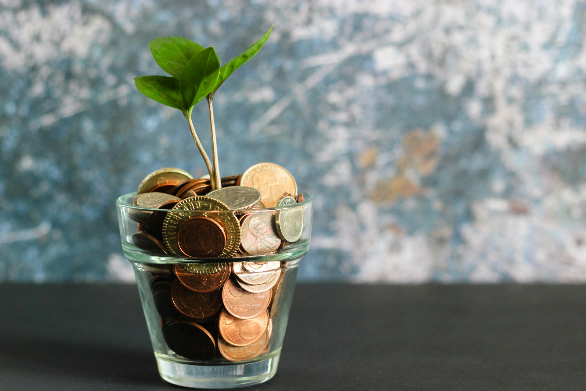 image of pot of coins with leaf sprouting from it | financial planning