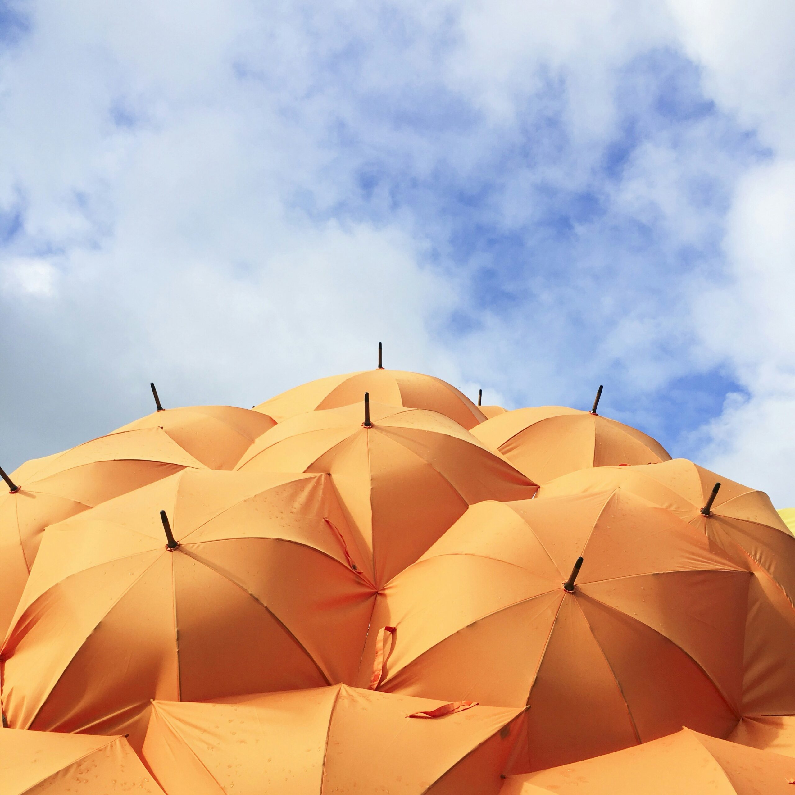 a photograph of a few orange umbrellas in front of the sky - risk mitigation concept