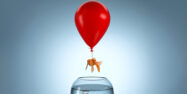 Image of a fish being lifeted from fish tank by a red balloon | permacrisis opportunitiy SAP Manufacuring and supply chain