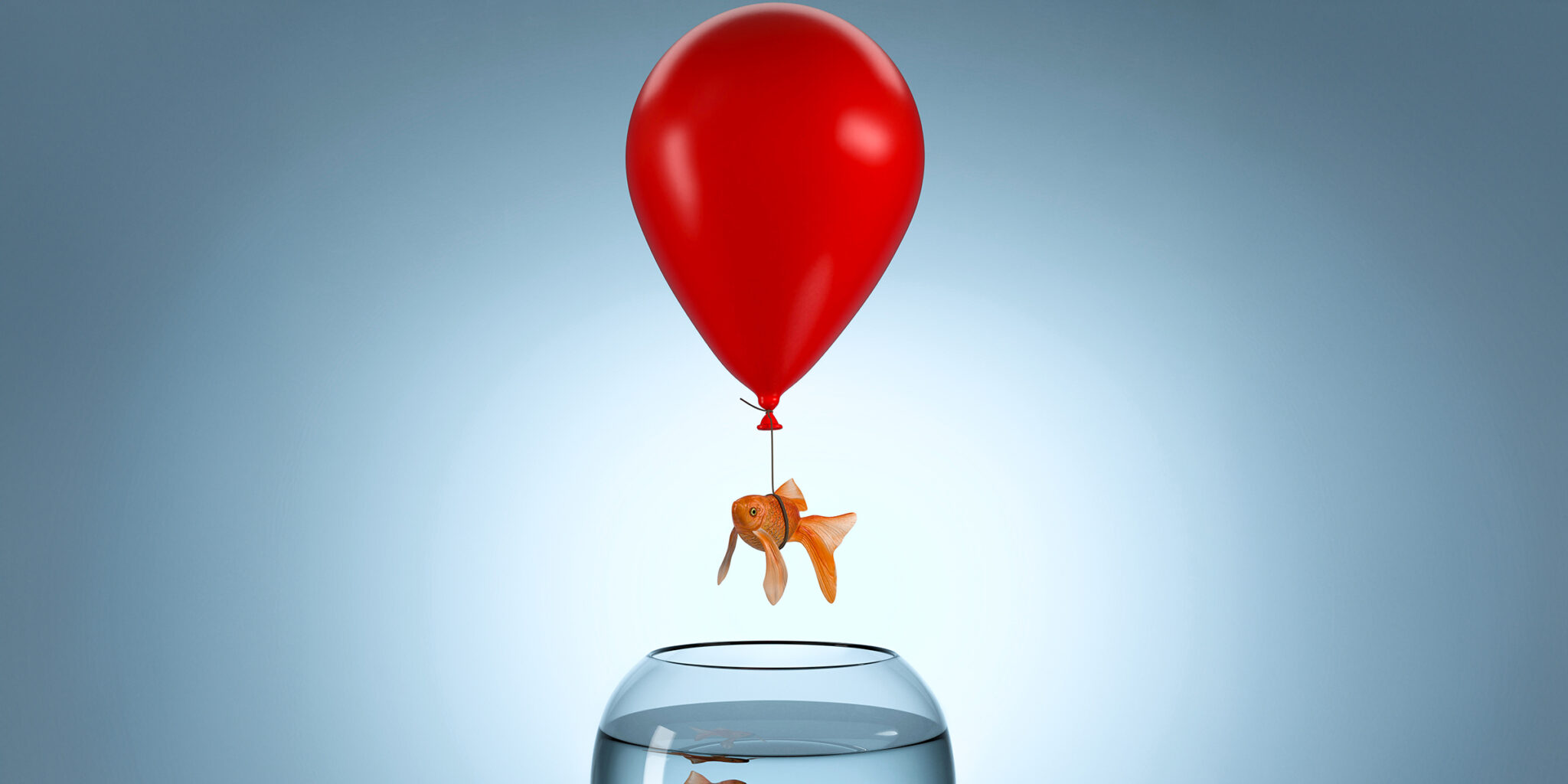 Image of a fish being lifeted from fish tank by a red balloon | permacrisis opportunitiy SAP Manufacuring and supply chain