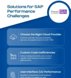 Common SAP Performance Challenges and How to Resolve Them - SAPinsider