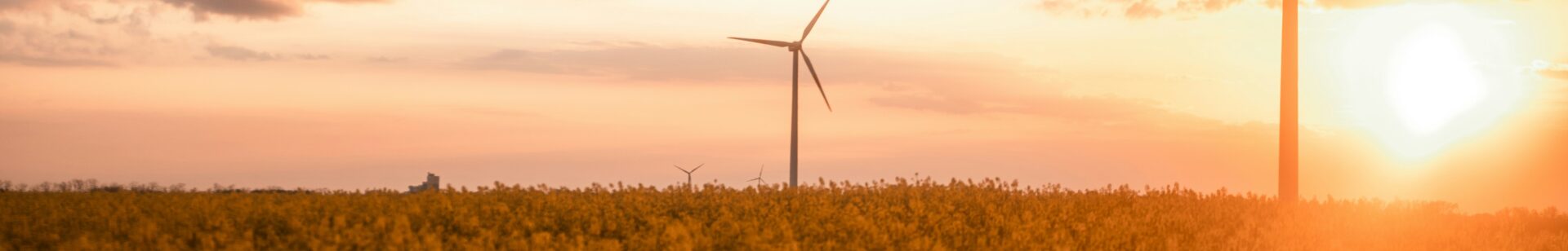 Image of a windfarm in Germany - fields with sun rising in the background | Energie Steiermark SAP Ariba