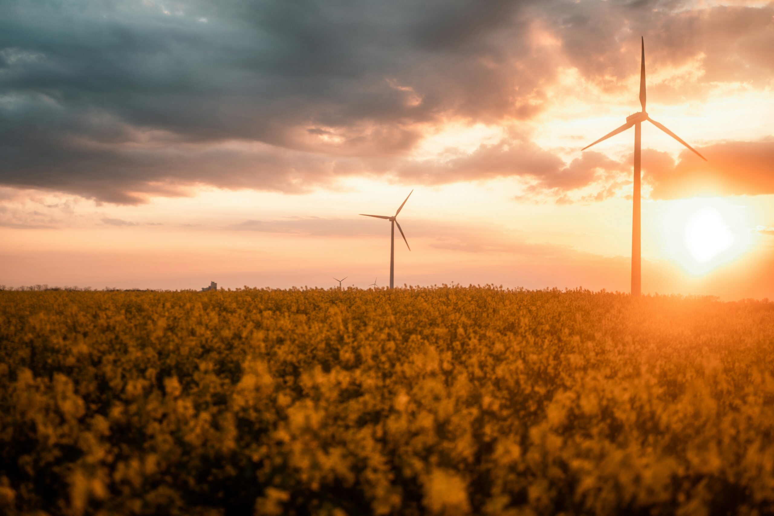 Image of a windfarm in Germany - fields with sun rising in the background | Energie Steiermark SAP Ariba