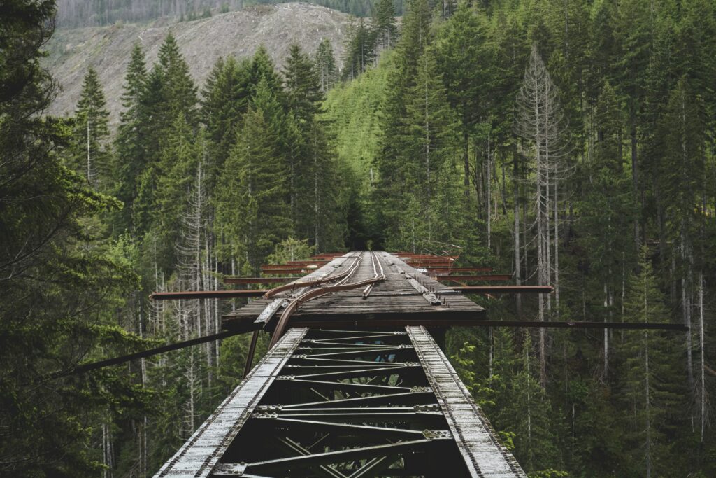 Image of Vance Creek Bridge, Shelton, United States, roughly mended | External dependencies INT4 | SAP conversion