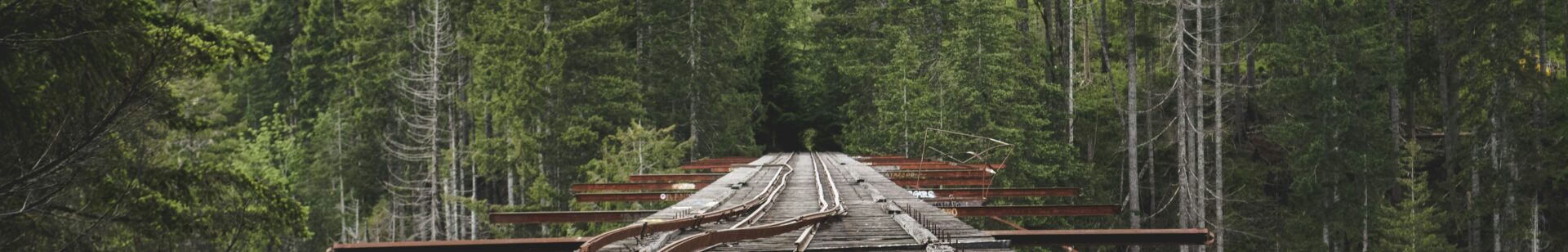 Image of Vance Creek Bridge, Shelton, United States, roughly mended | External dependencies INT4 | SAP conversion