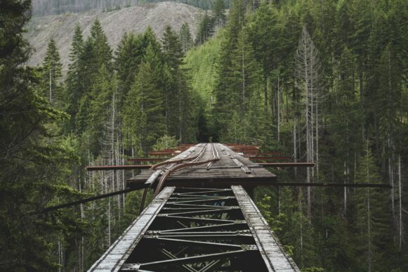Image of Vance Creek Bridge, Shelton, United States, roughly mended | External dependencies INT4 | SAP conversion