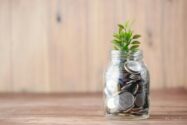 a glass jar filled with coins and a plant growing out of it | SIOS Technology Corp.'s solution for DA and HA in SAP HANA environment