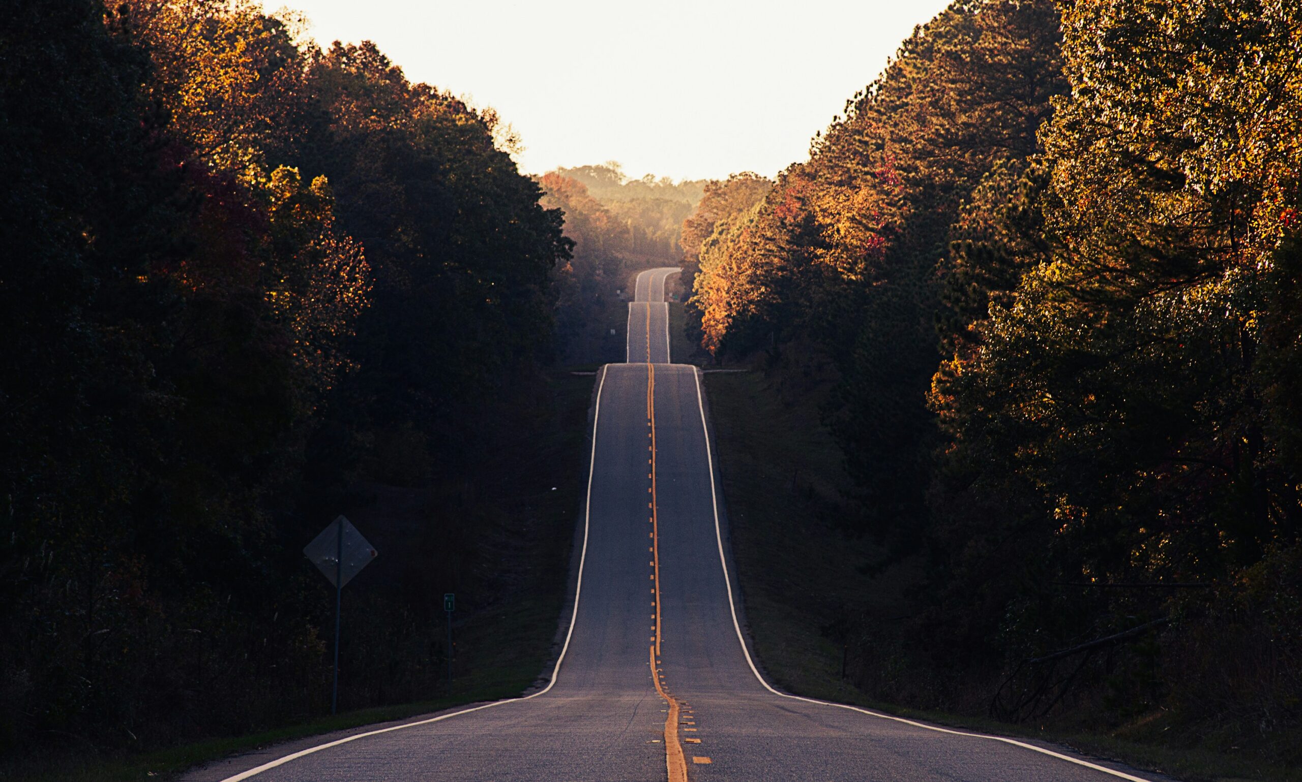 a photo of an asphalt road between trees and forest during sunset | SAP Product Review of SAP Ariba