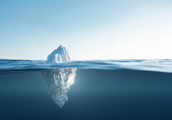 Iceburg SAP Sustainability PwC