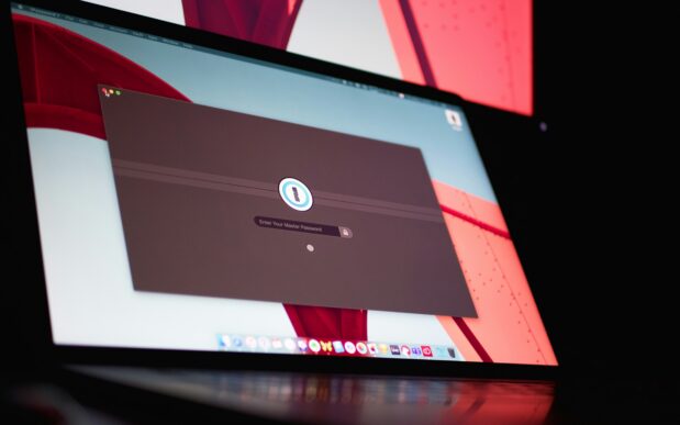 screen with password_SAP identity governance modernization