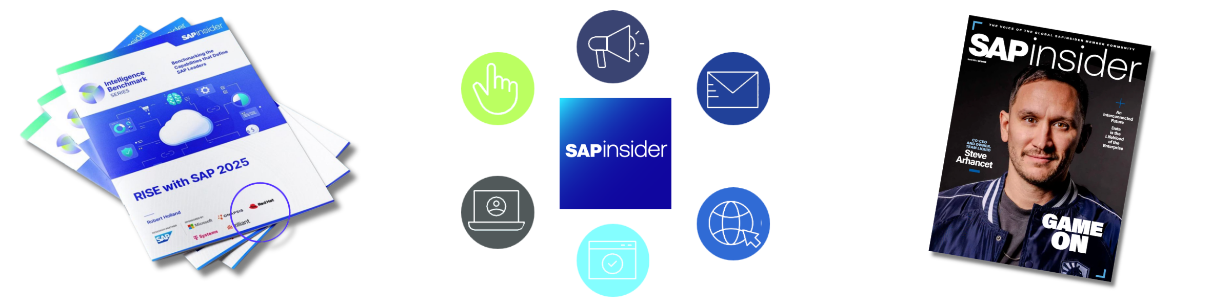 SAPinsider audience and campaign statistics