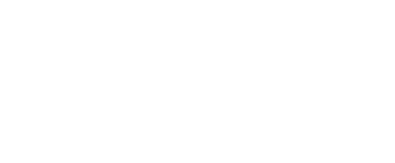 CAI Software Logo