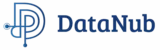 DataNub Technologies Logo