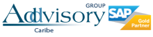 Addvisory Group Caribe Logo