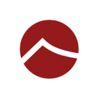 Advanced Solutions Logo