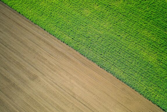 Aerial view of green farmland beside a brown field, illustrating greenfield and brownfield approaches to SAP S/4HANA modernization.