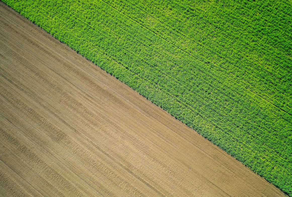 Aerial view of green farmland beside a brown field, illustrating greenfield and brownfield approaches to SAP S/4HANA modernization.